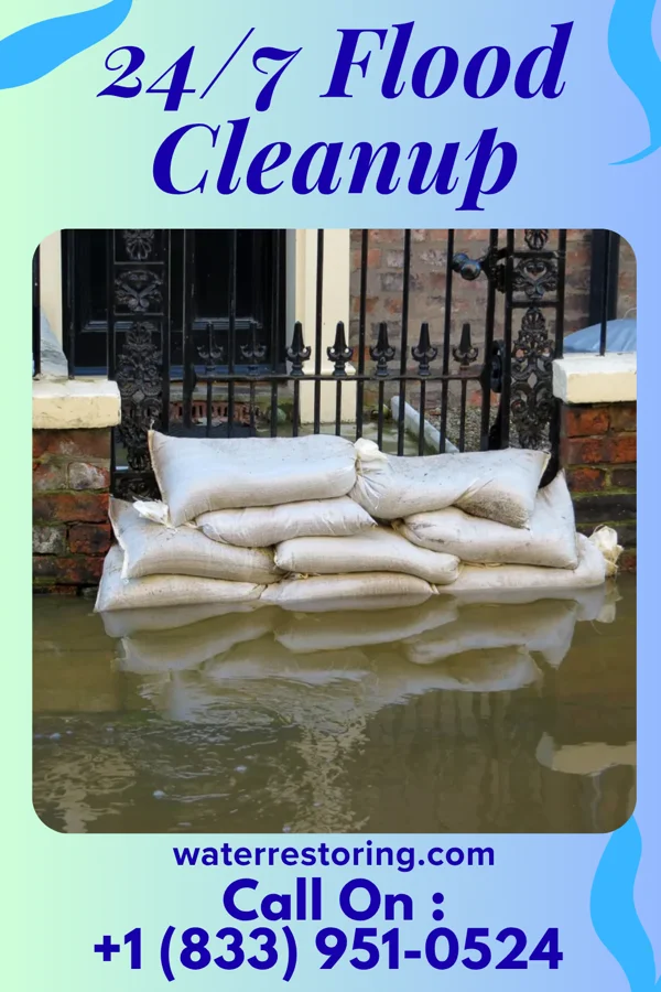 24/7 Flood Cleanup in Lewisburg, LA