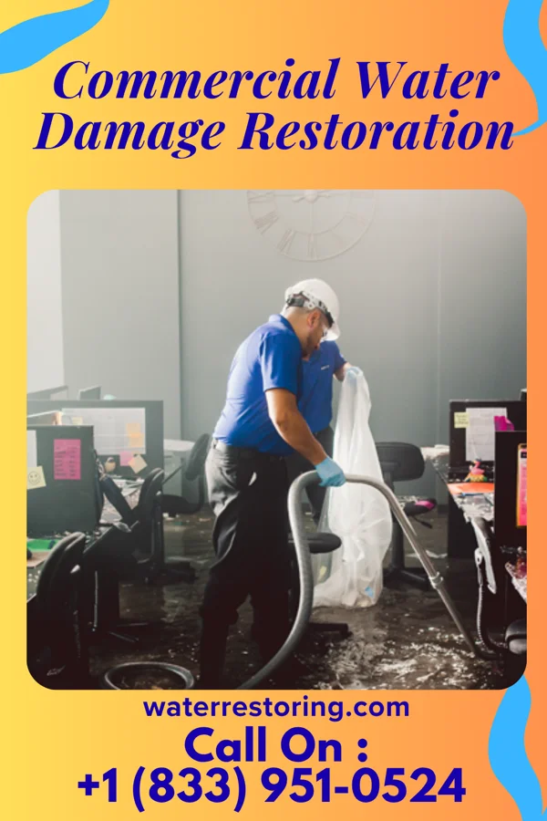 Commercial Water Damage Restoration in Lewisburg, LA