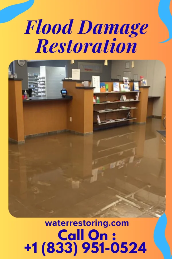 Flood Damage Restoration in Lewisburg, LA
