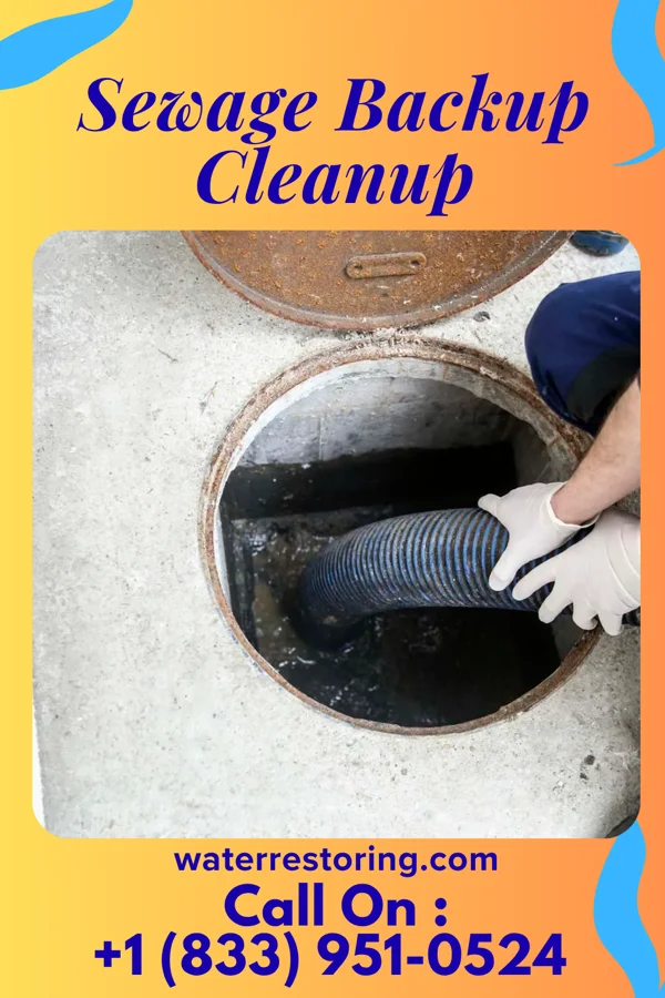 Sewage Backup Cleanup in Lewisburg, LA
